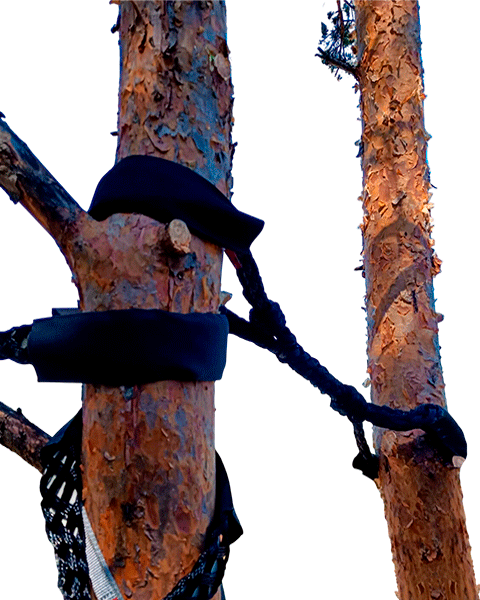 <strong>Укрепление</strong> деревьев
